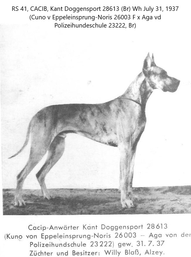 Kant Doggensport